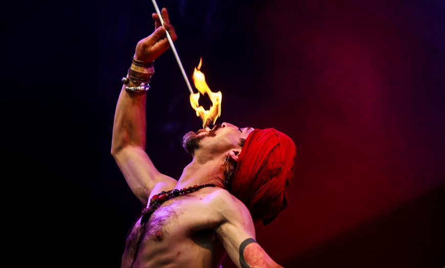 Image 3: 1 entrada para niño o adulto para el "Circo de Navidad de Gijón"