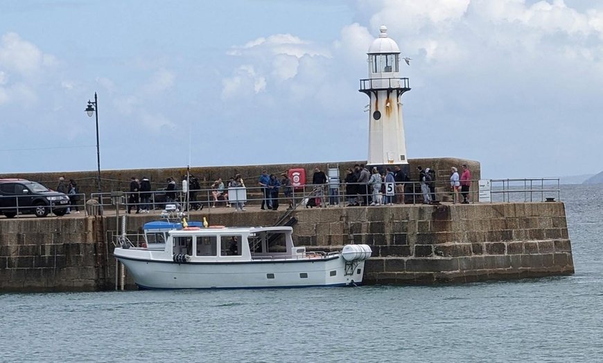 Image 12: Seal-Dolphin Spotting & Godrevy Lighthouse Trip-Upto 4 Adults & 2 Kids