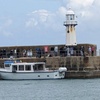 Image 12: Seal-Dolphin Spotting & Godrevy Lighthouse Trip-Upto 4 Adults & 2 Kids