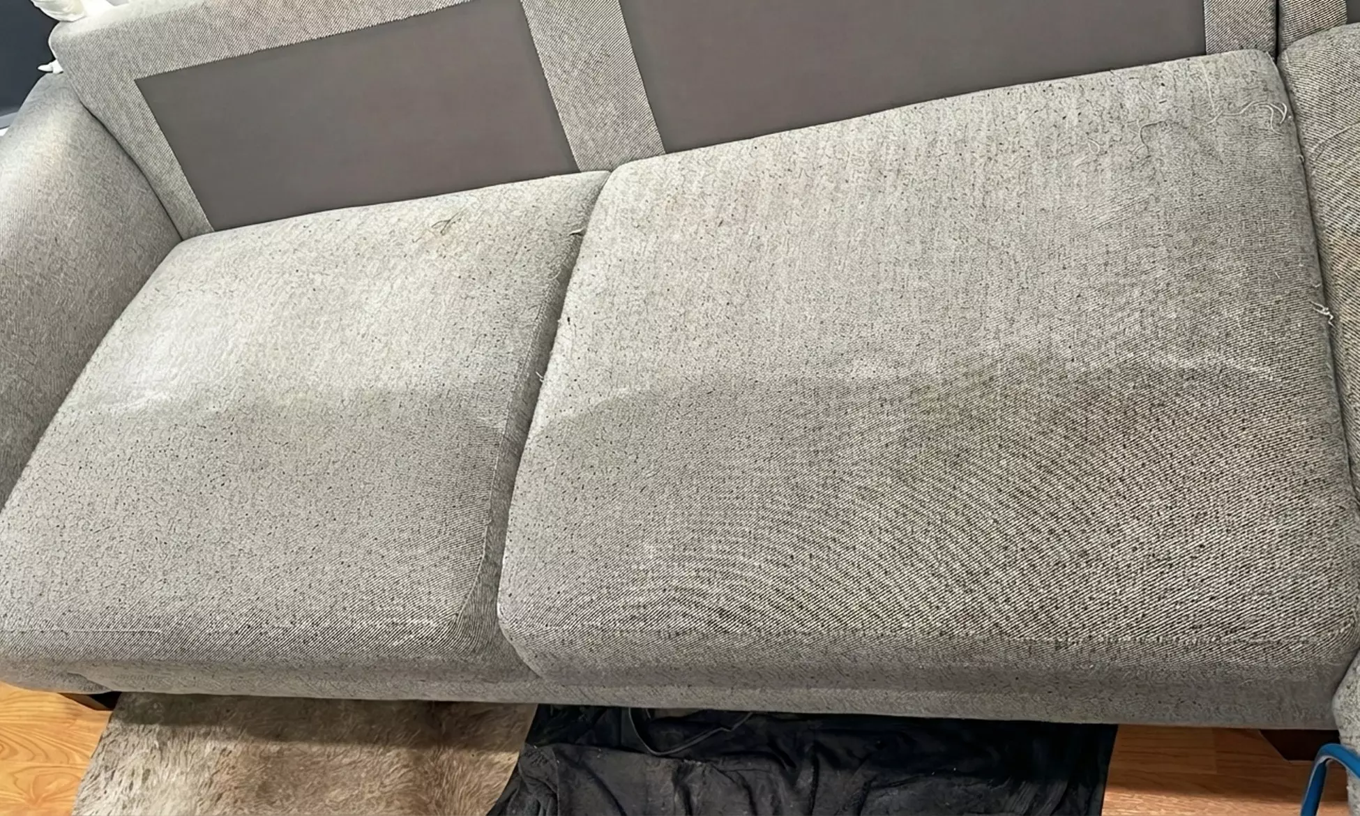 Upholstery Cleaning: Maintenance Cleaning Sofa up to 7 ft or 14ft