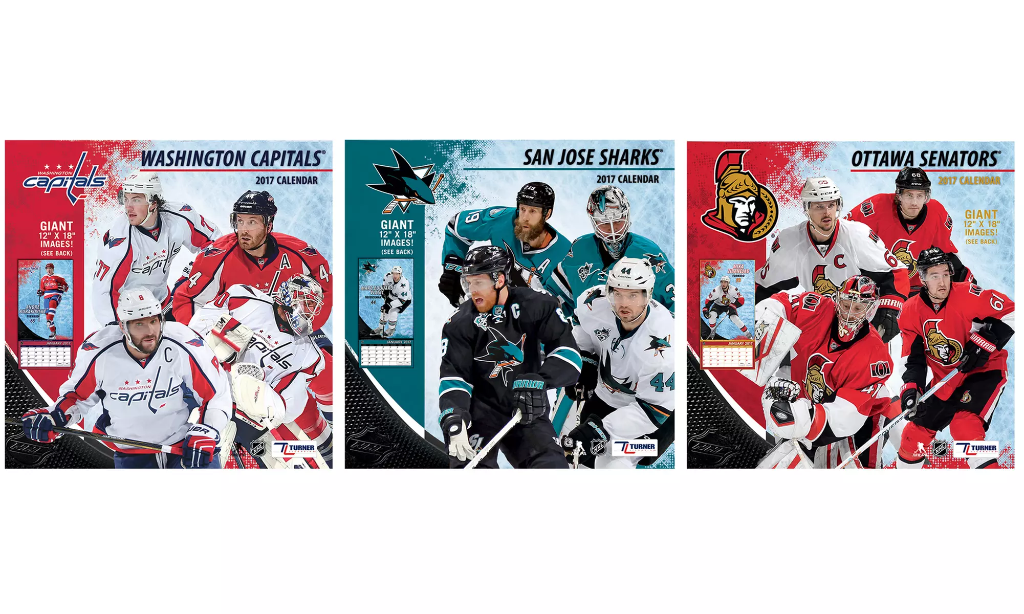 NHL 2017 12"x12" Team Wall Calendar - Primary Image