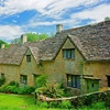 Image 1: Explore Cotswolds: All Entries, Lunch & Premium Seating Tour for All
