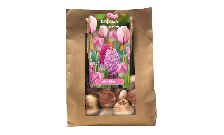 Image 6: 25x Blumenzwiebel-Mischung „Color your garden“