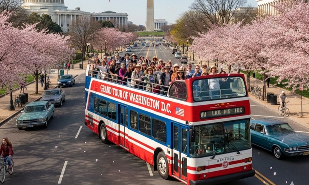 What to expect media