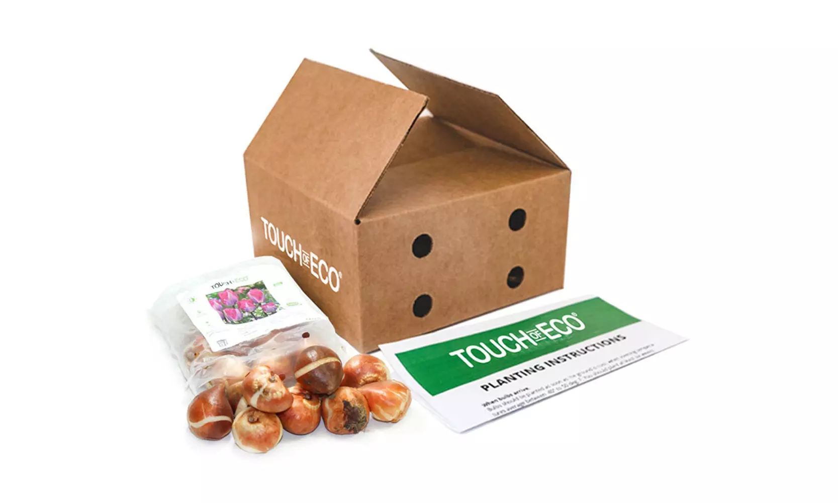 Lavender Purple Trophy Tulip Flowers (10, 20, & 40 Bulbs With Planting Tool)