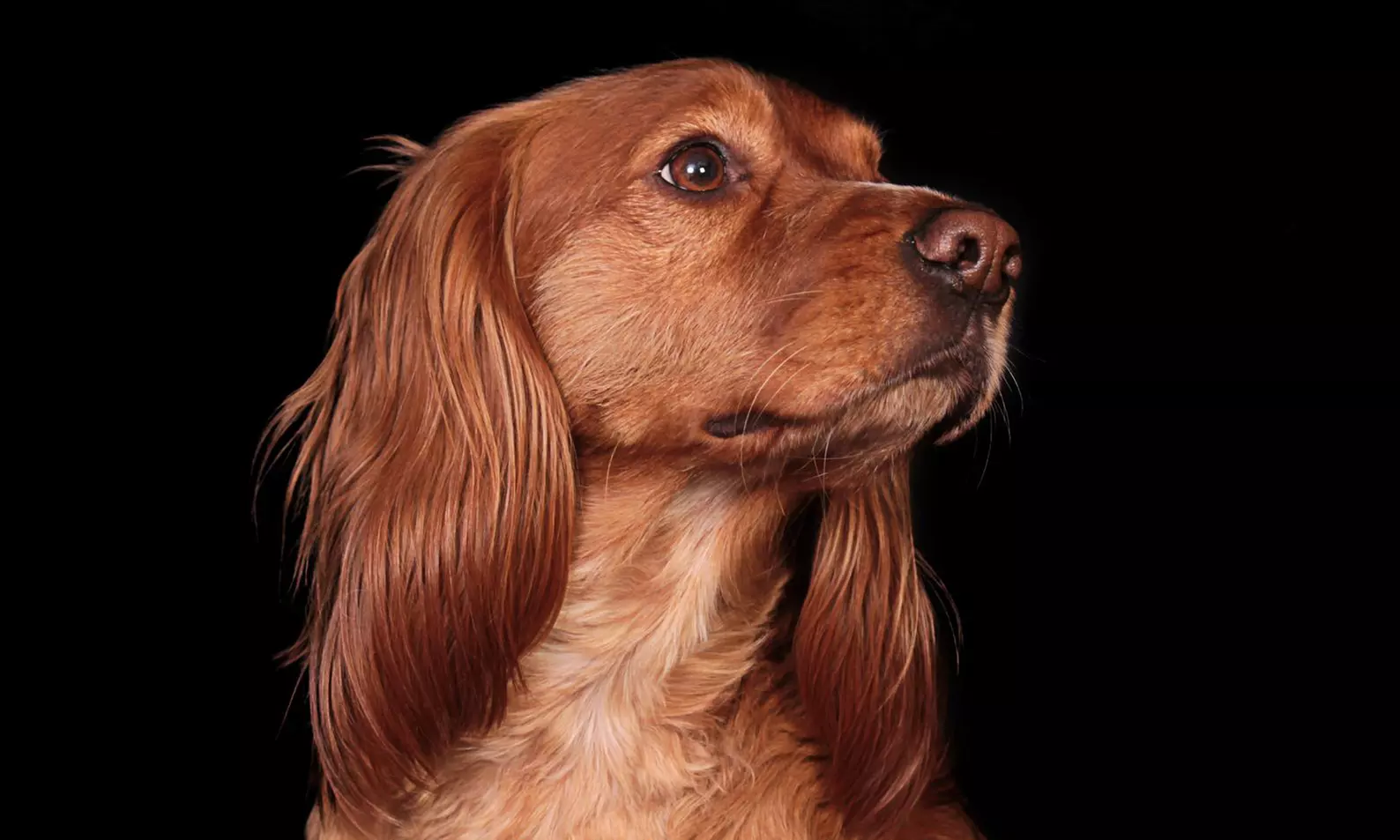 Séance photo au choix avec Noémie Ballot Photographies