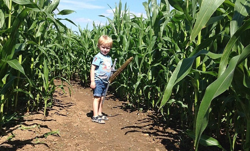 Image 2: Adventure Awaits: Maze Entry for One, Two, Three, or Family of Four