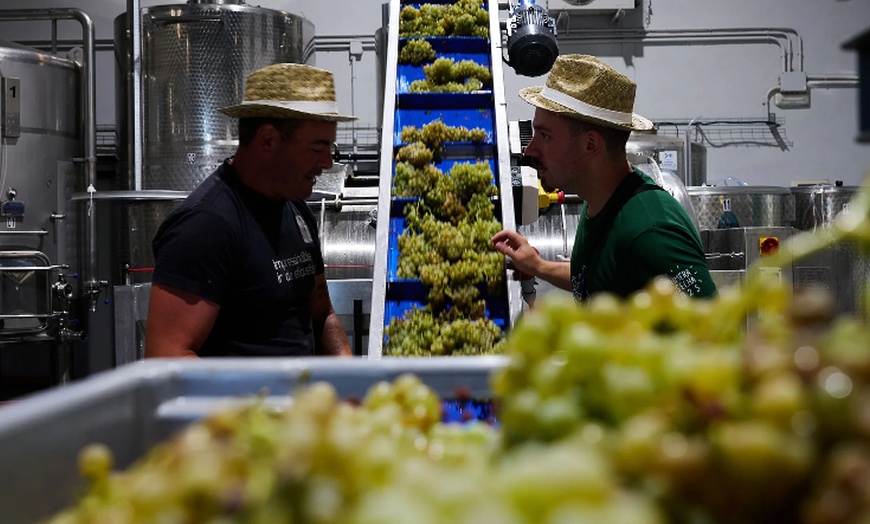 Image 3: Visita a bodega con cata de vinos o cavas y aperitivo para 2 o 4