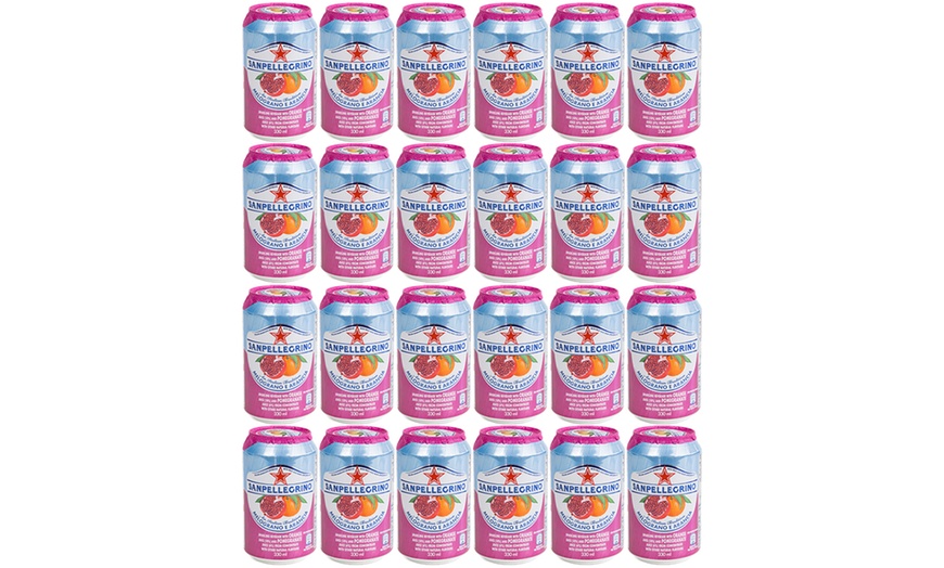 Image 4: 24 Cans of SanPellegrino Drink