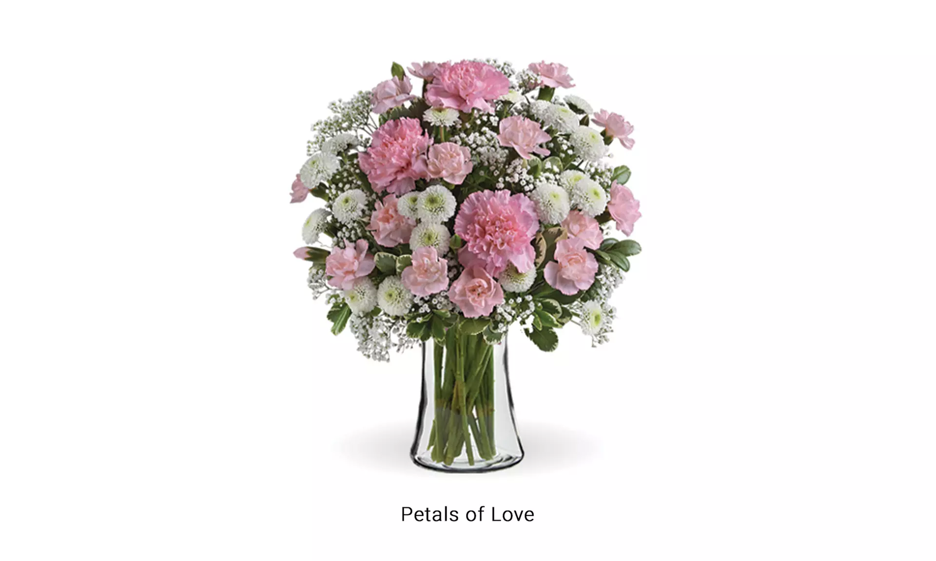 Same Day Winter Flower Bouquets from Blooms Today with Vase & Delivery Up to 17% Off
