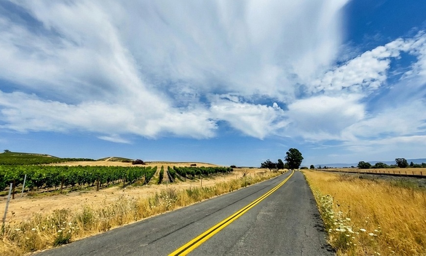 Image 8: Private Wine Tour: 2 Curated Wineries & Luxury Sprinter from SF