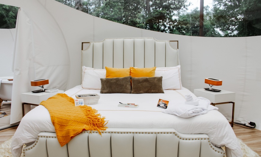 Image 10: Luxury Glamping Domes w/ Pool & Hot Tub, Just Outside Houston