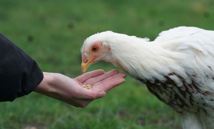 Image 8: Tierpatenschaft für 1 Tier nach Wahl inkl. Tierführung