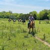 Image 1: Guided Trail Rides for One, Two, or Four