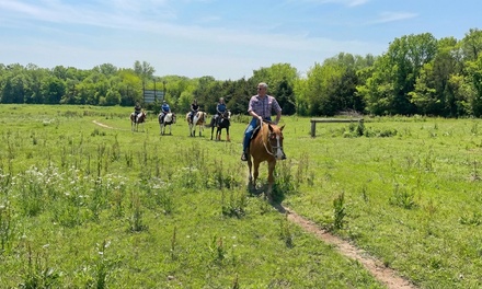 One-Hour Guided Horseback Trail Ride, valid for one person - Wild Rose Equine Center