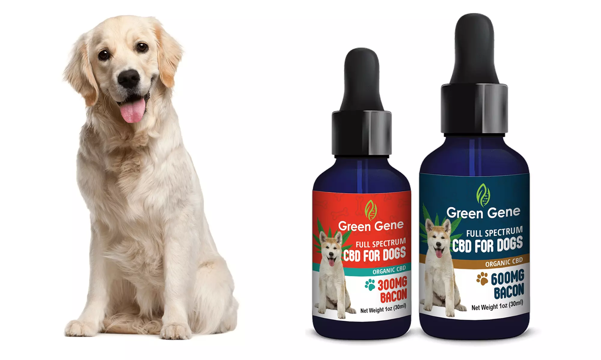 Full Spectrum CBD Oil Dog for Canine Happiness 300MG-600MG by Green Gene