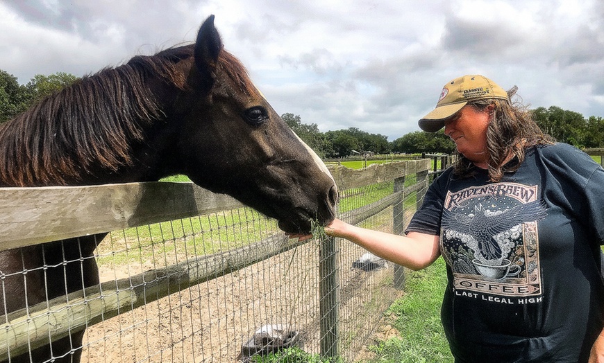 Image 2: Beginner Equine Care Class: Hands-On Learning for All Ages