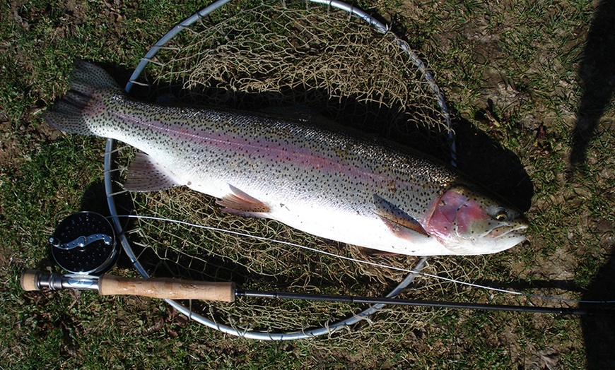 Image 3: Half-Day Trout Fly Fishing Course