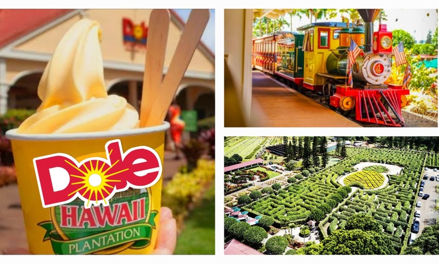 Image 15: Up to 55% Off Oahu Full-Day Island Tour - Aloha Fantasy Tours