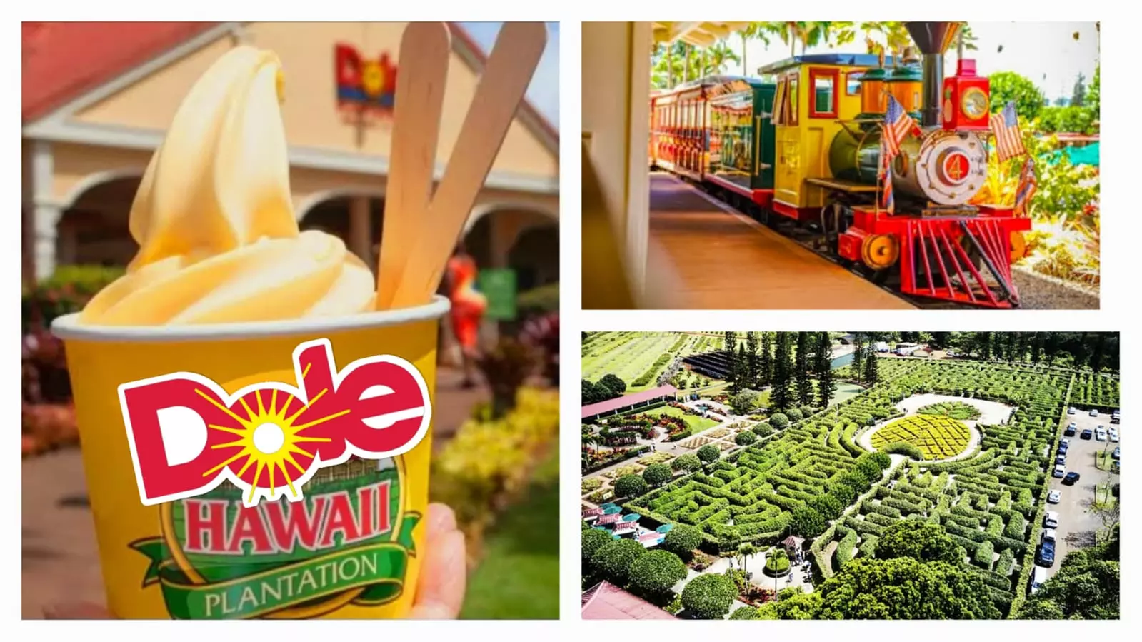 Up to 55% Off Oahu Full-Day Island Tour - Aloha Fantasy Tours