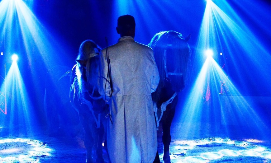 Image 9: Cirque Amar®, 100 ans d'émotions : le centenaire, de déc. à fev.