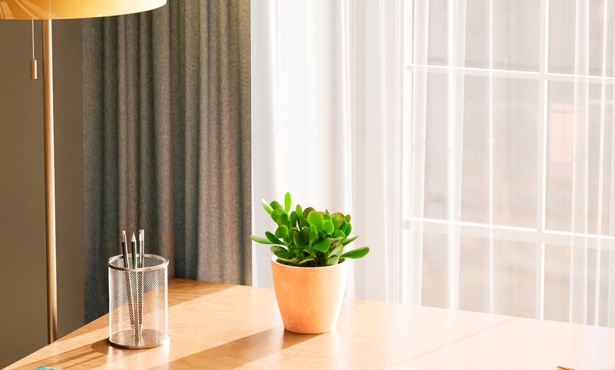 Image 2: Lively Root Deal: Small Indoor Houseplant Collection with Eco-Pot Planter