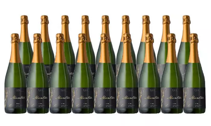 Holiday Sparkling Wine 18-Pack: Cava & Brut
