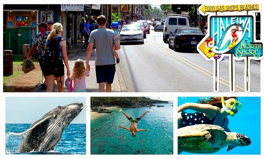 Image 17: Up to 65% Off Oahu Full-Day Island Tour - Aloha Fantasy Tours