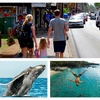 Image 17: Up to 65% Off Oahu Full-Day Island Tour - Aloha Fantasy Tours