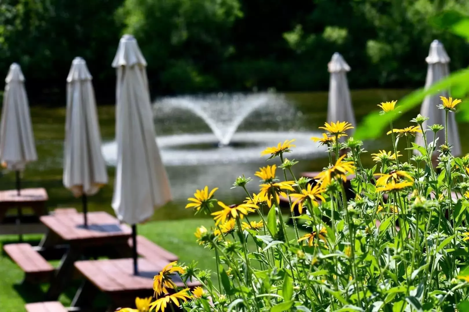 Tastings for Two or Four or 6-Bottle Gift Set at Pugliese Vineyards