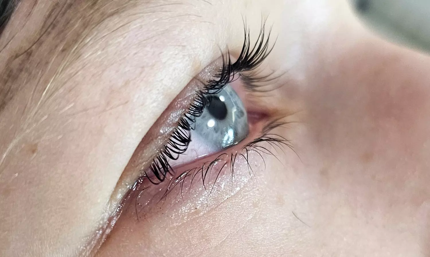 Do 25% zniżki na: Laminacja rzęs z opcjonalnym farbowaniem dla głębokiego spojrzenia w FAMA Studio Urody - Primary Image