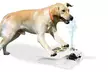 iMounTEK Outdoor Step-On Dog Water Fountain Pet Water Dispenser - Second Medium