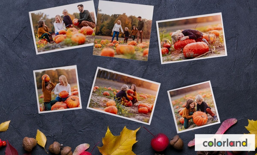 Image 1: Odbitki zdjęć: nawet 300 sztuk na Colorland.pl