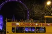 Live Guided Christmas Lights Bus Tour for Child or Adult  with Up to 31% Off - Second Medium