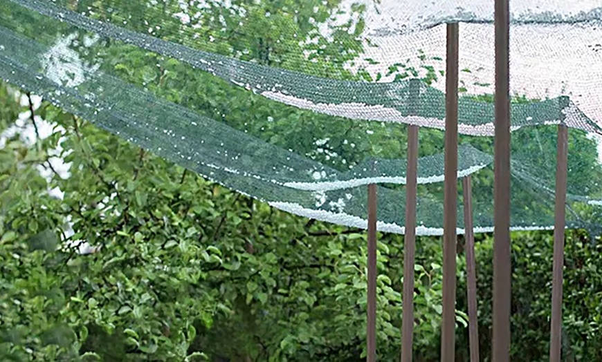 Image 1: Anti-hagelnet