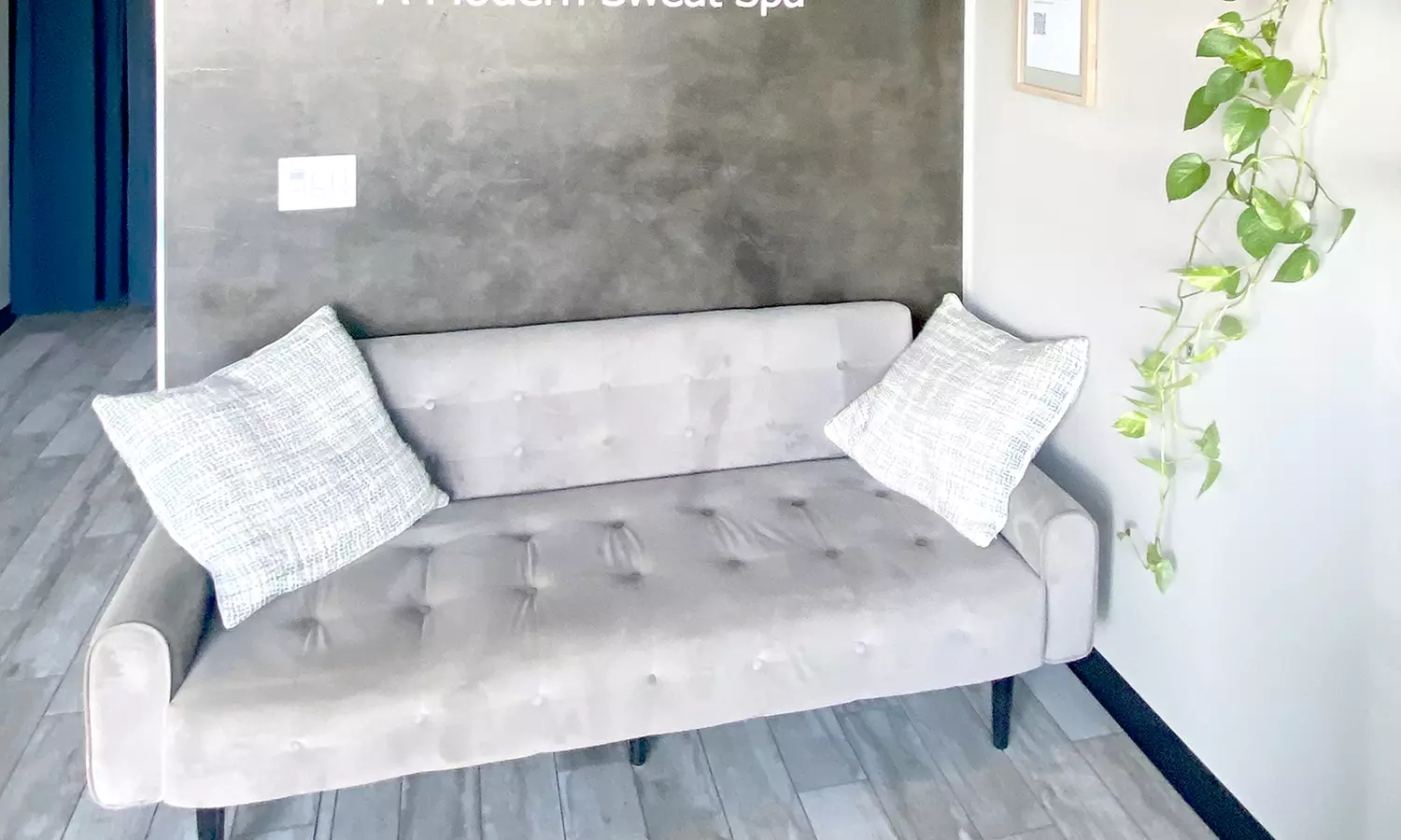 Relax and Recharge with VIP Spa Membership