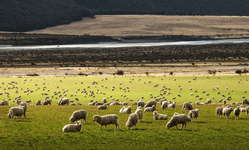 Image 4: ✈ New Zealand: 4 Nights with Flights, Choice of Hotel Stay, & Car Hire