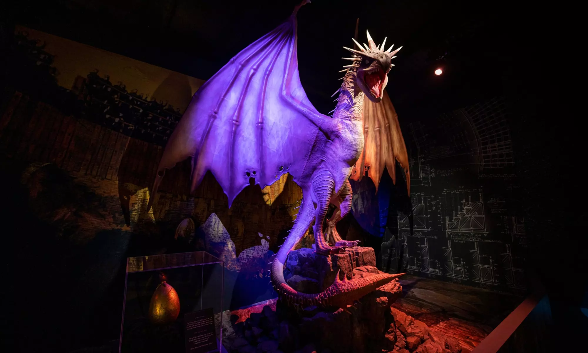 Celebrate the Magic at Harry Potter™: The Exhibition Dallas — Up to 57% Off!