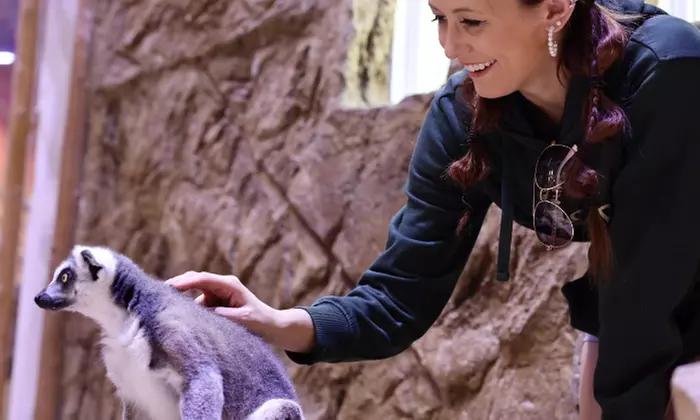 Explore the Wonders of the Sea at San Antonio Aquarium