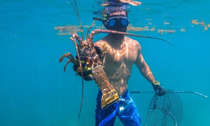 Image 4: Premium Snorkeling Adventures with Spearfishing and Lobster Hunting