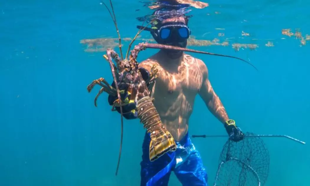Premium Snorkeling Adventures with Spearfishing and Lobster Hunting
