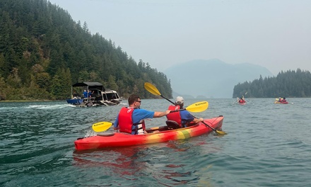 Introduction to Kayaking Tour, for 2 people - Harrison Eco Tours, Harrison Hot Springs, BC