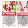 Image 1: Pipette antiparassitarie per cani Advantix