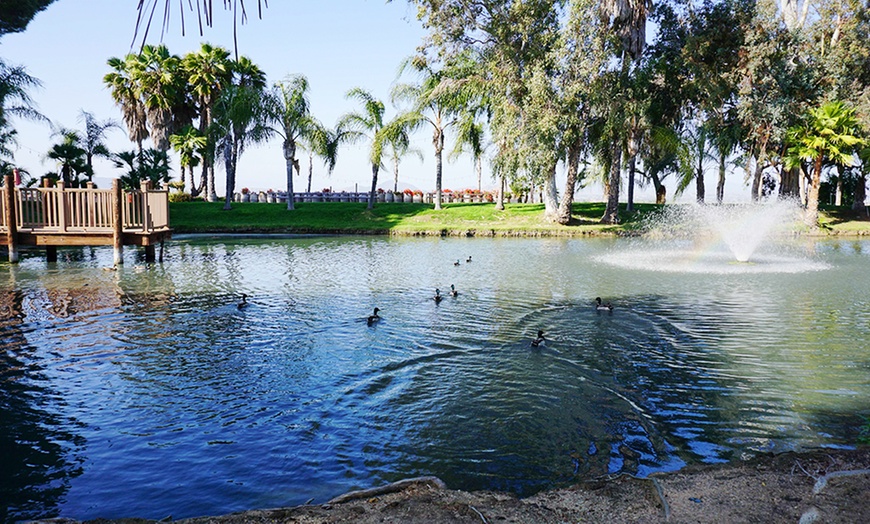 Image 7:  45% Off Exclusive Cocktails at The Cilurzo