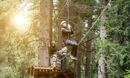 90-Minute Osage 8 Canopy Zipline Tour for 1 Person [Online Redemption Required] - Adrenaline Zipline Co - Camdenton, MO