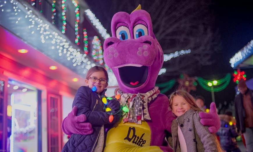 Image 6: Dutch Winter Wonderland Admission