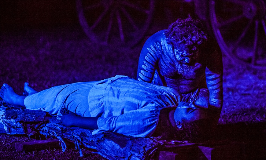 Image 8: Aboriginal Live Show with Dinner 