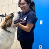 Image 2: Weekday Fun and Care with One, Three or Five Days of Dog Daycare