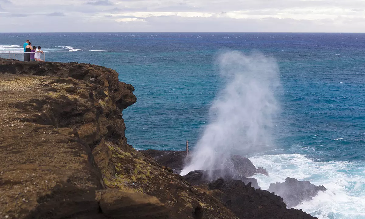 Up to 58% Off Full-Day Oahu Circle Island and Snorkeling Tour