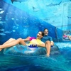Image 16: Aquaventure Waterpark Tickets – Atlantis The Palm Day Pass